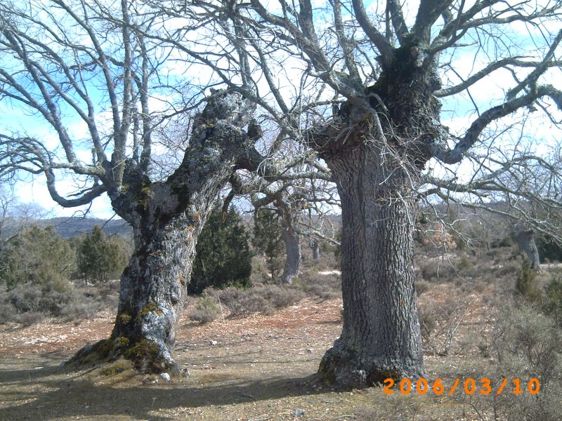 Foto de Borobia (Soria), España