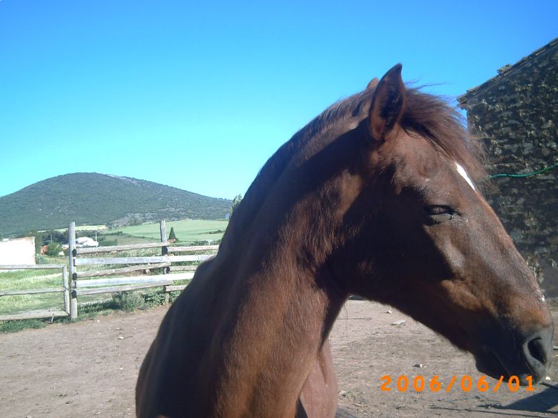 Foto de Ólvega (Soria), España