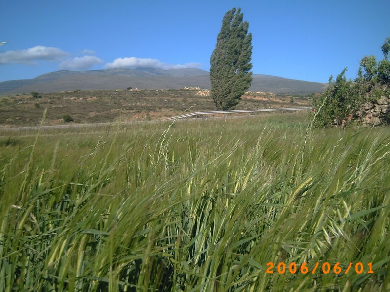 Foto de Ólvega (Soria), España