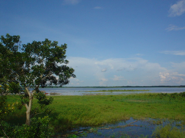 Foto de Iquitos, Perú