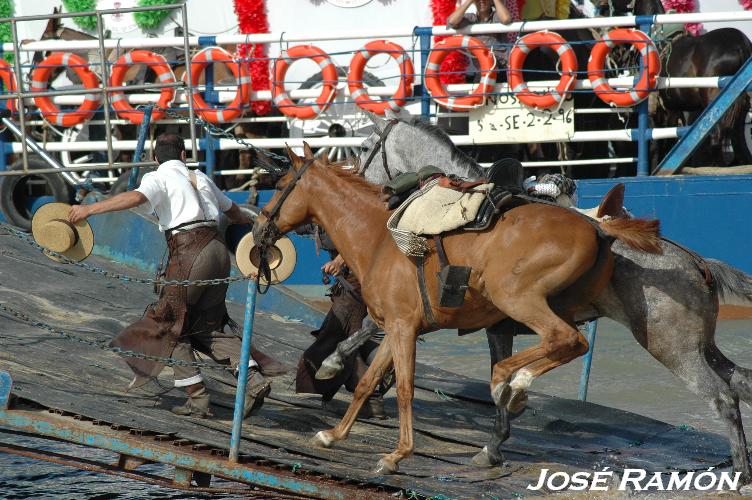 Foto de Sanlúcar de Barrameda (Cádiz), España