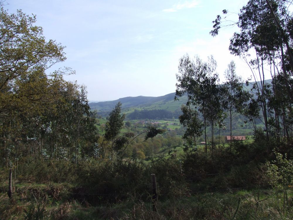 Foto de Llanos de Penagos (Cantabria), España