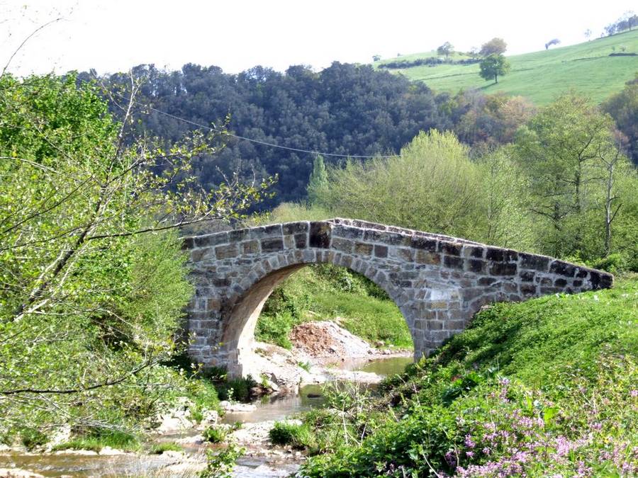 Foto de Llanos de Penagos (Cantabria), España