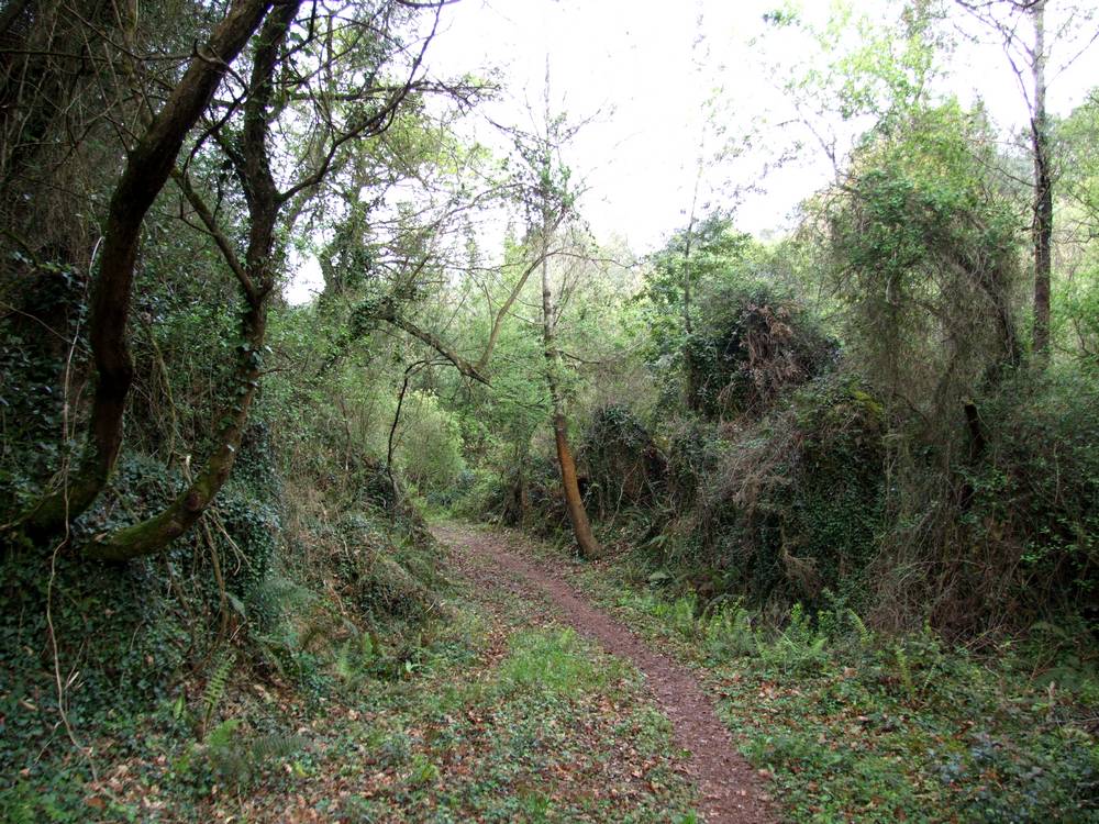 Foto de Pamanes (Cantabria), España