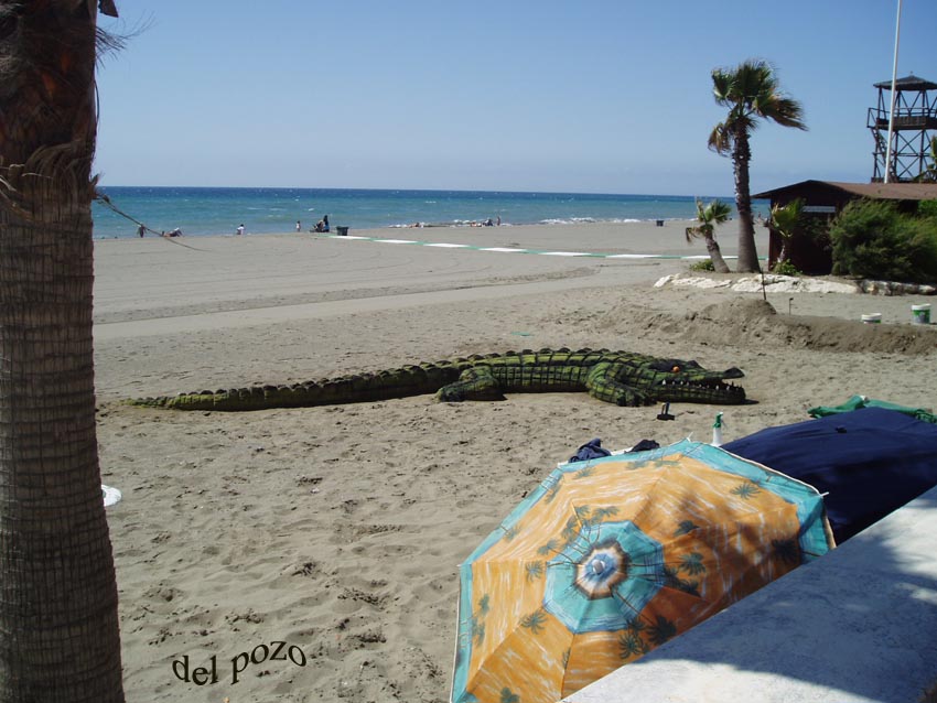 Foto de Estepona (Málaga), España