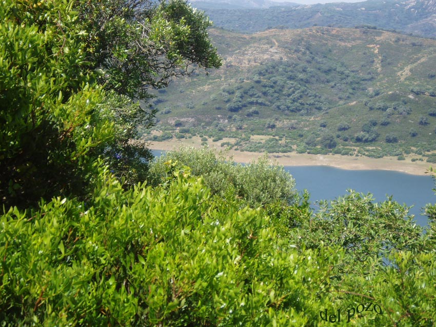 Foto de Castellar (Jaén), España