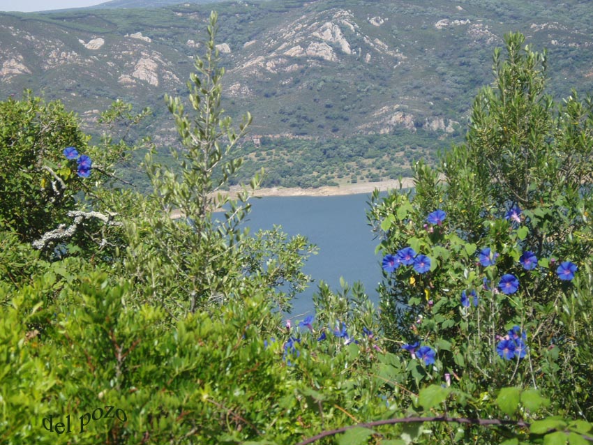 Foto de Castellar (Jaén), España