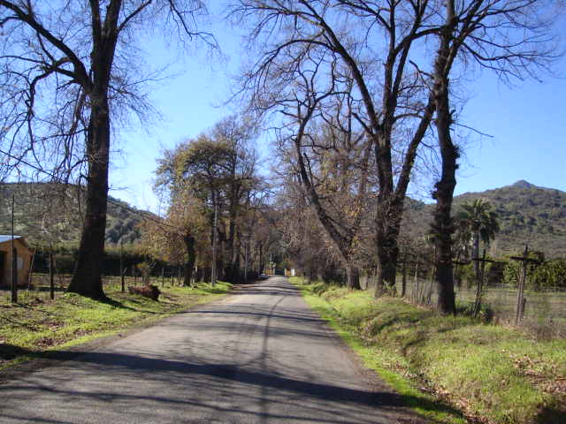 Foto de LIMACHE, Chile