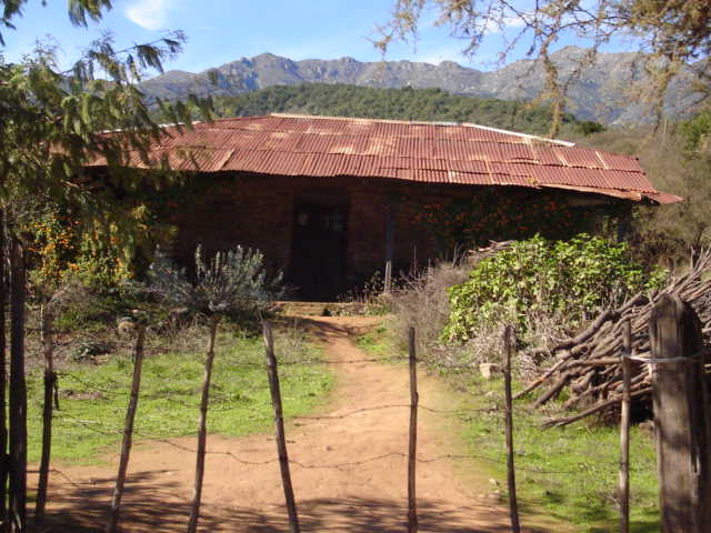 Foto de LIMACHE, Chile