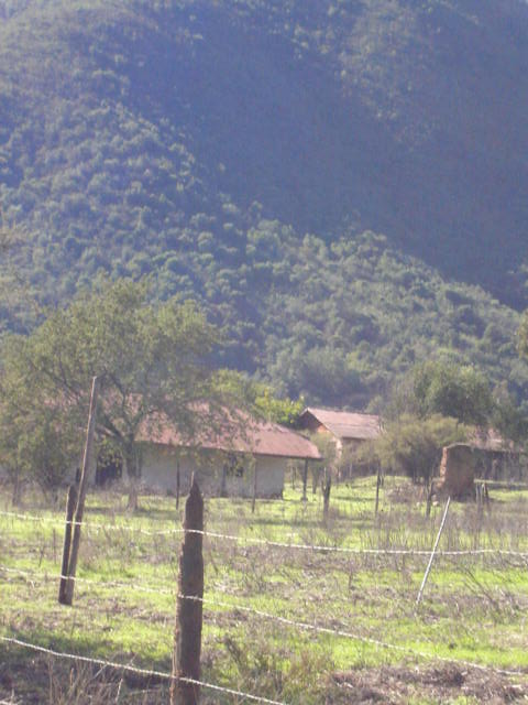 Foto de LIMACHE, Chile