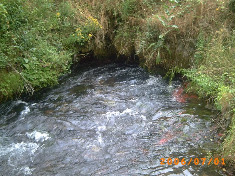 Foto de Vozmediano (Soria), España