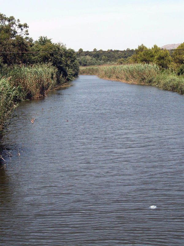 Foto de Mallorca (Illes Balears), España