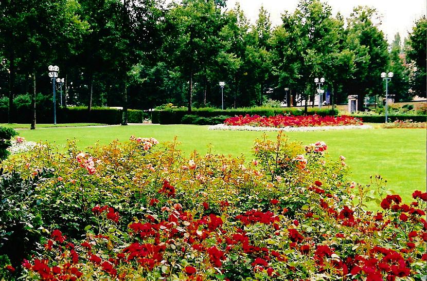 Foto de Berna, Suiza