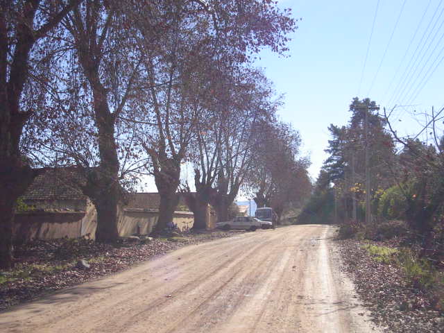 Foto de LIMACHE, Chile