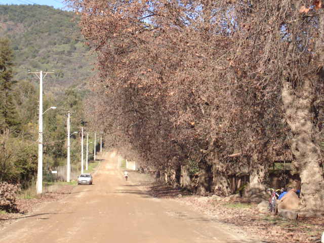 Foto de LIMACHE, Chile