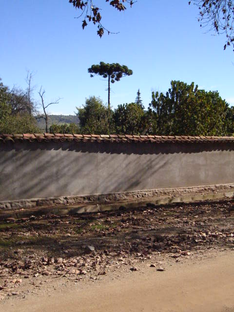 Foto de LIMACHE, Chile