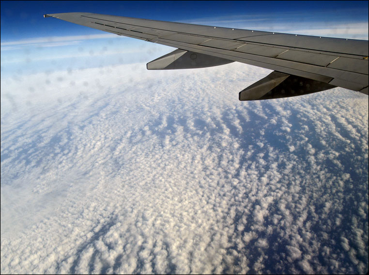 Foto de Tenerife (Santa Cruz de Tenerife), España