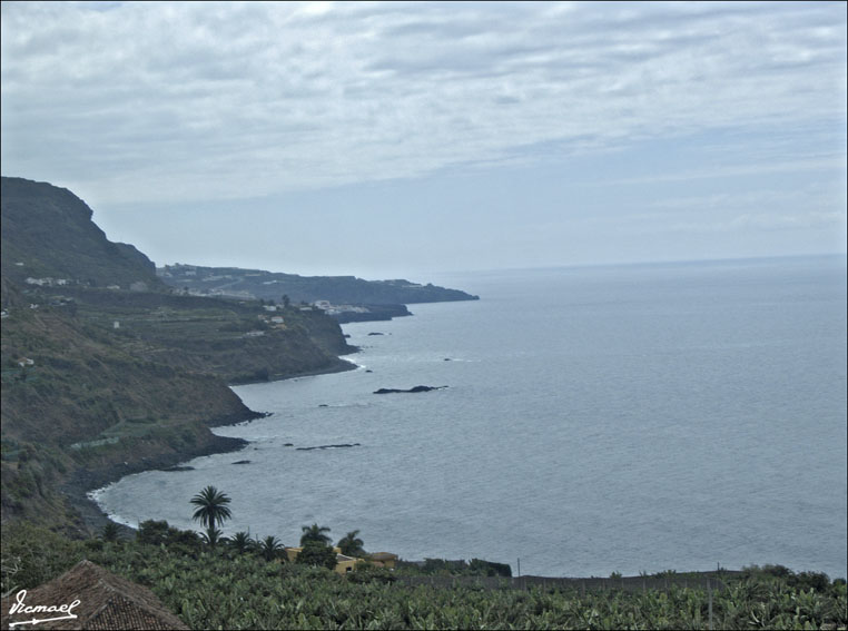 Foto de Icod de los Vinos (Santa Cruz de Tenerife), España