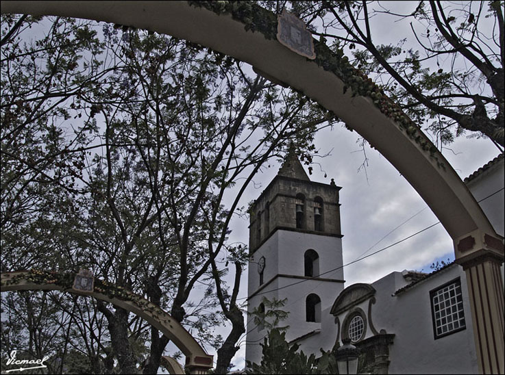 Foto de Icod de los Vinos (Santa Cruz de Tenerife), España