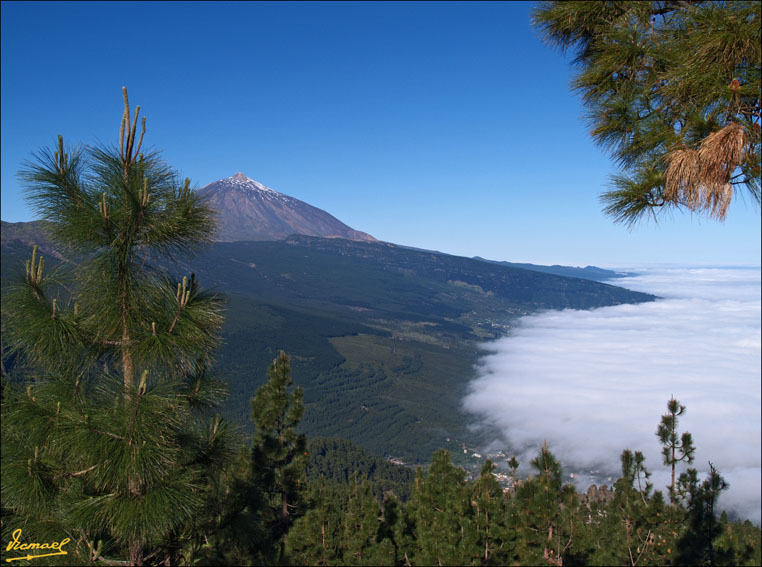 Foto de Teide - Tenerife (Santa Cruz de Tenerife), España