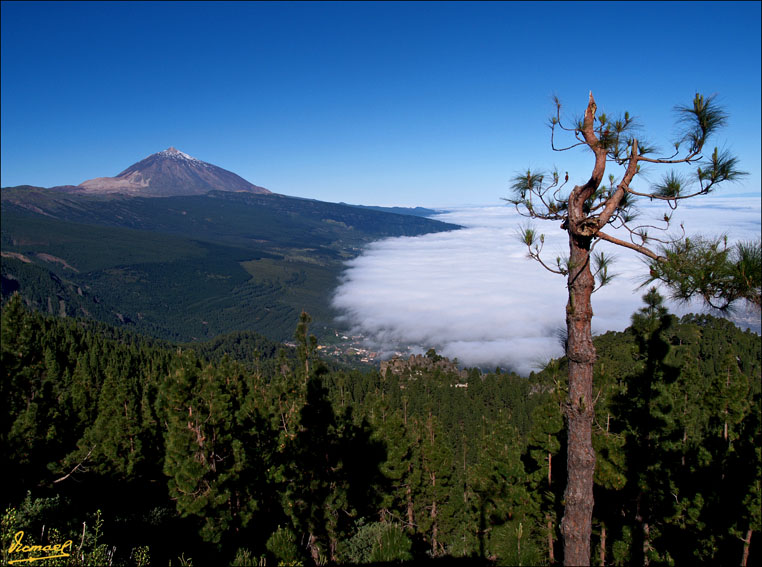 Foto de Teide - Tenerife (Santa Cruz de Tenerife), España