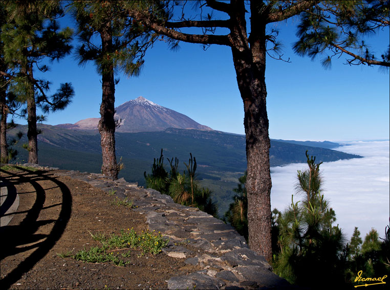 Foto de Teide - Tenerife (Santa Cruz de Tenerife), España