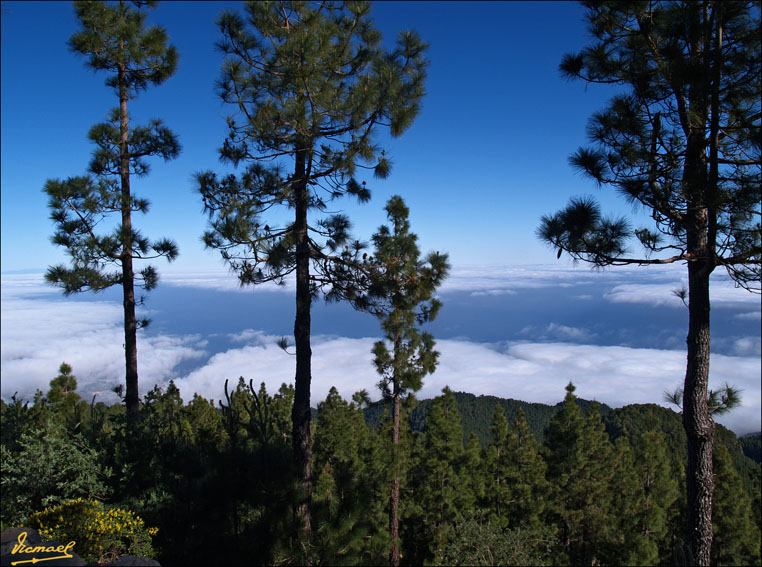 Foto de Teide - Tenerife (Santa Cruz de Tenerife), España