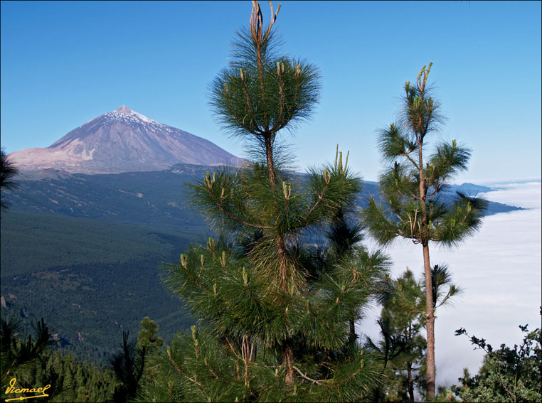 Foto de Teide - Tenerife (Santa Cruz de Tenerife), España