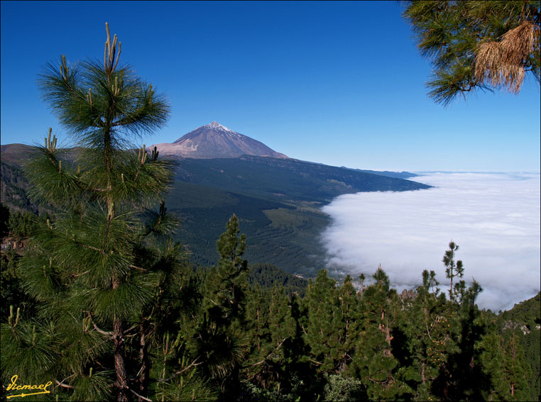 Foto de Teide - Tenerife (Santa Cruz de Tenerife), España