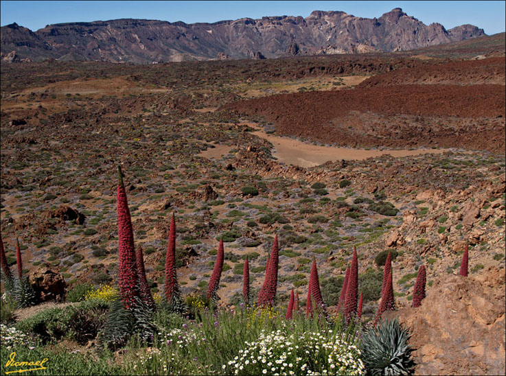 Foto de Teide - Tenerife (Santa Cruz de Tenerife), España