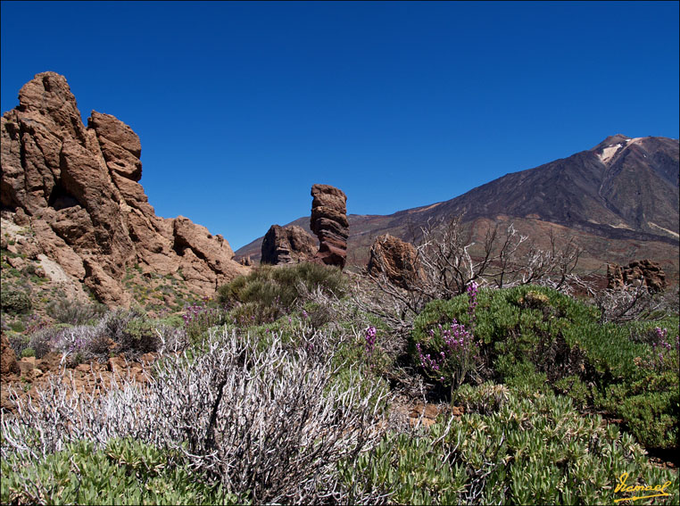 Foto de Teide - Tenerife (Santa Cruz de Tenerife), España