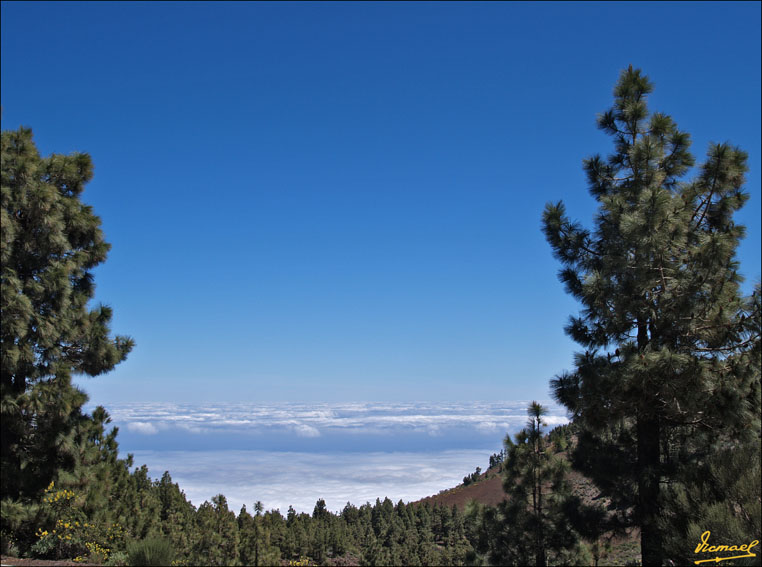 Foto de Teide - Tenerife (Santa Cruz de Tenerife), España