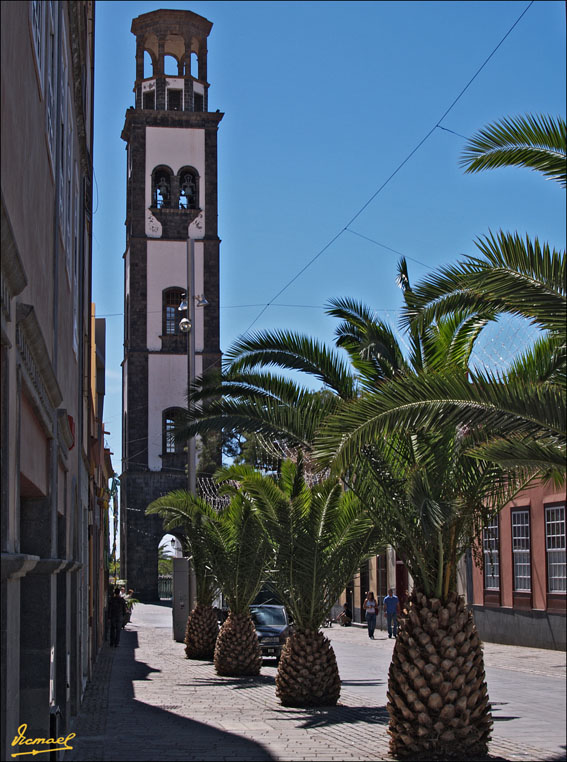 Foto de Santa Cruz de Tenerife (Canarias), España