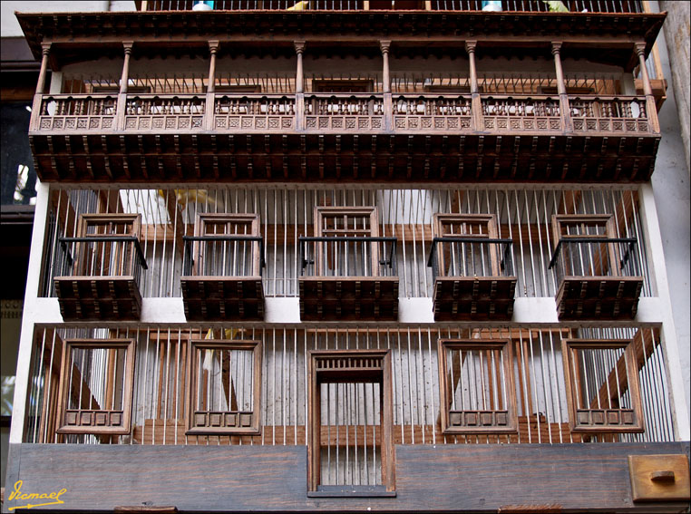 Foto de La Orotava (Santa Cruz de Tenerife), España