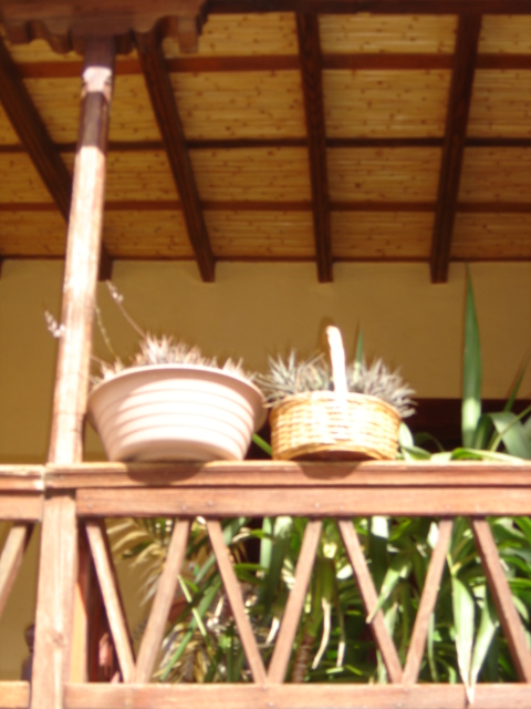 Foto de Tejeda - Gran Canaria (Las Palmas), España