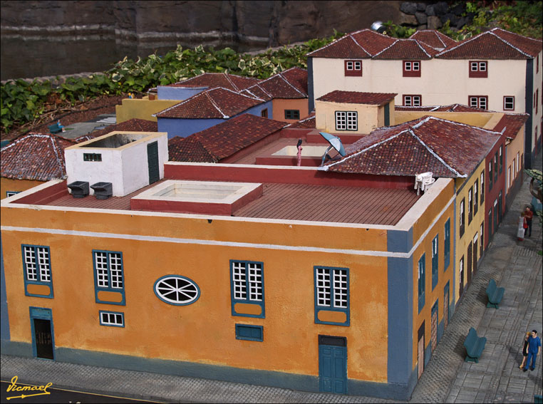 Foto de Tenerife (Santa Cruz de Tenerife), España