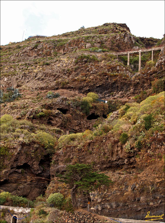 Foto de Tenerife (Santa Cruz de Tenerife), España