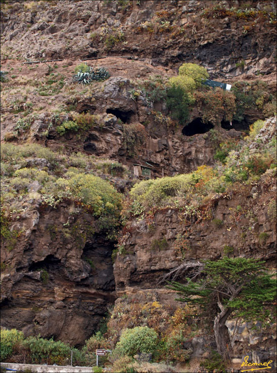 Foto de Tenerife (Santa Cruz de Tenerife), España