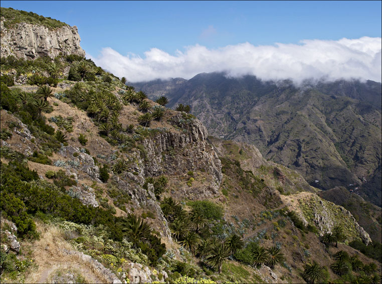 Foto de La Gomera (Santa Cruz de Tenerife), España