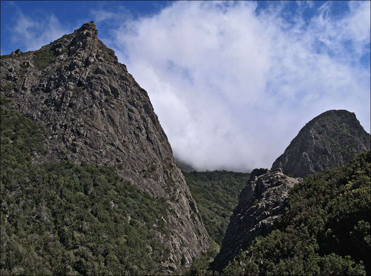 Foto de La Gomera (Santa Cruz de Tenerife), España