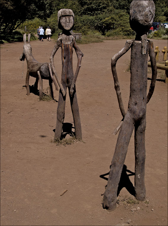 Foto de La Gomera (Santa Cruz de Tenerife), España