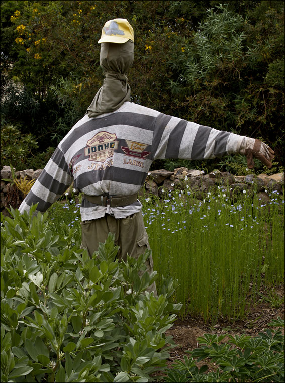 Foto de La Gomera (Santa Cruz de Tenerife), España