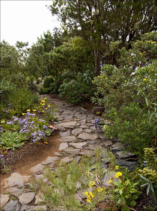 Foto de La Gomera (Santa Cruz de Tenerife), España