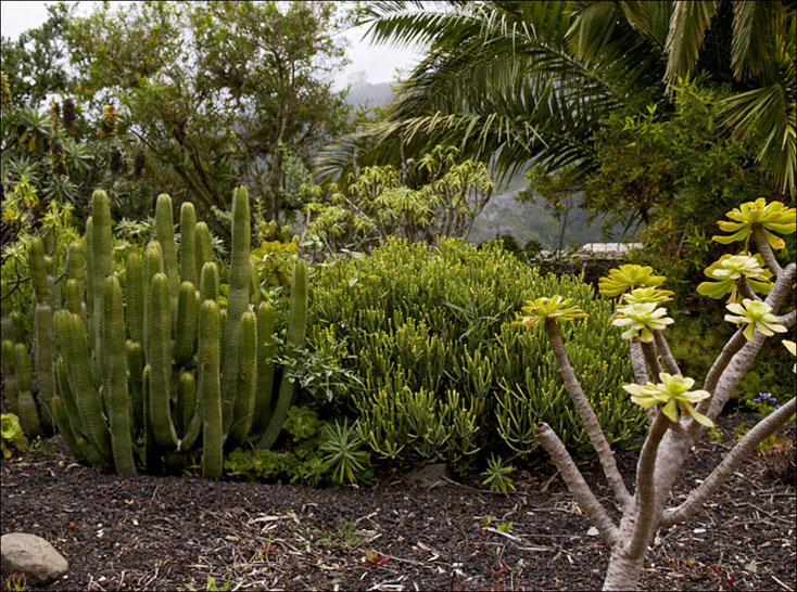 Foto de La Gomera (Santa Cruz de Tenerife), España
