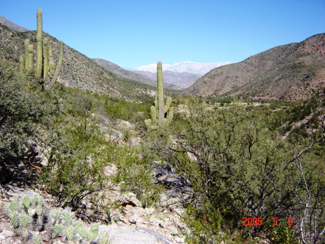 Foto de Chañarmuyo, La Rioja., Argentina