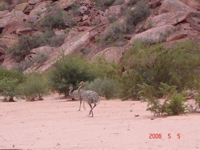 Foto de Talampaya, La Rioja., Argentina