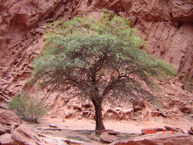 Foto de Cañón Arco Iris, La Rioja., Argentina