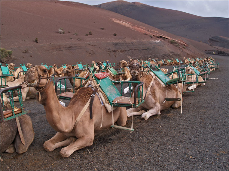 Foto de Lanzarote (Las Palmas), España