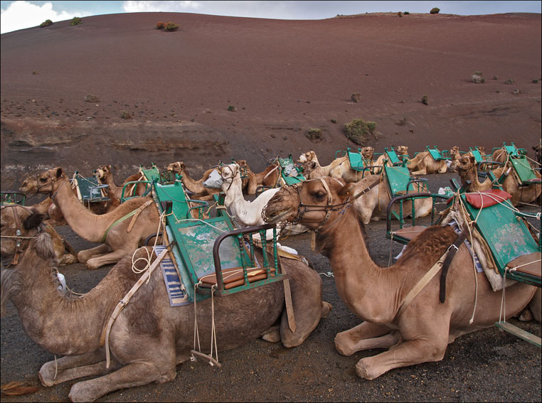 Foto de Lanzarote (Las Palmas), España