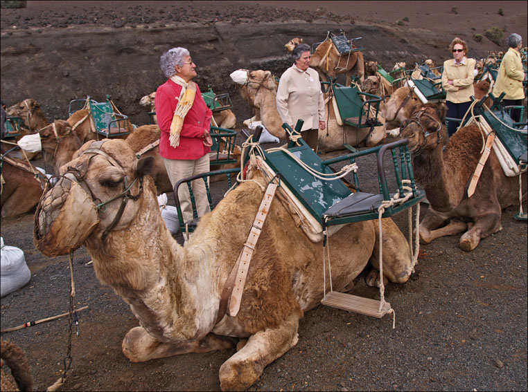 Foto de Lanzarote (Las Palmas), España